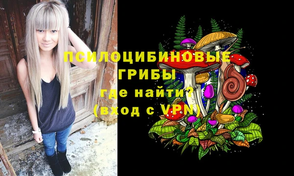 хмурый Верхний Тагил