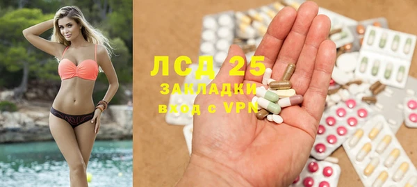 спиды Бородино