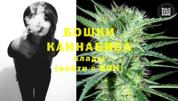 спиды Бородино