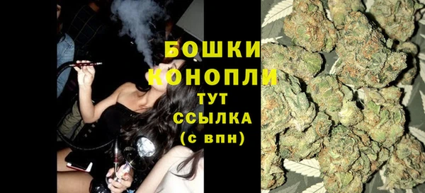 спиды Бородино