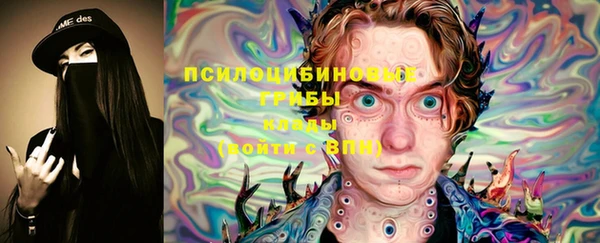 хмурый Бронницы
