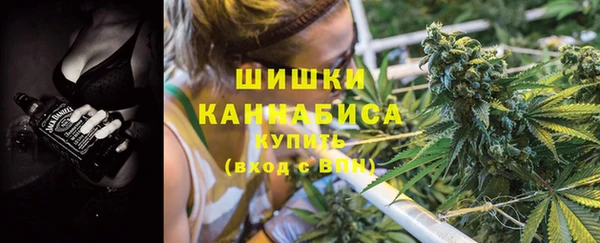 спиды Бородино
