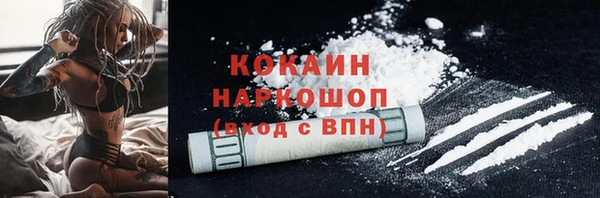 спиды Бородино
