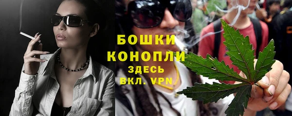 спиды Бородино