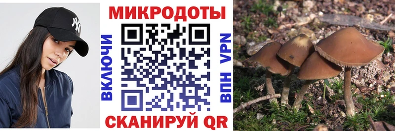 Галлюциногенные грибы Magic Shrooms  shop клад  Новокубанск  даркнет сайт 